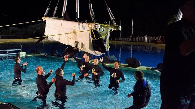 Loro Parque pagará 8.800 euros a un vecino de Tenerife por ruidos en la refrigeración de la piscina dedicada al «show» de las orcas