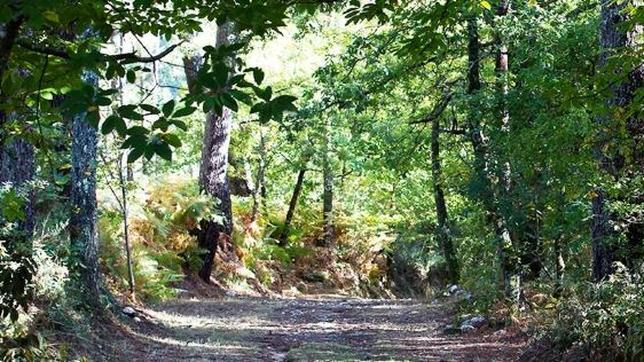 Este itinerario se conoce como la ruta jacobea del sur