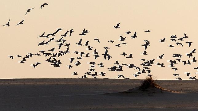 Día de la Lucha contra la Desertificación: «La Tierra pertenece al futuro, protejámosla del cambio climático»