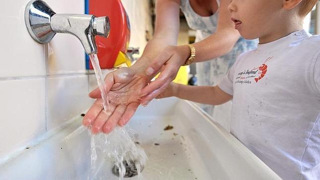 Cómo manipular las frutas, verduras, huevos y pescados para evitar intoxicaciones