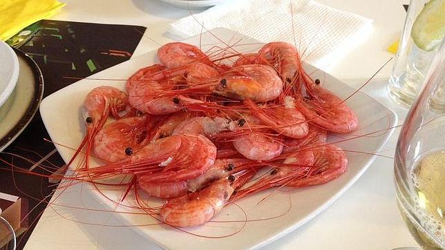 Camarones frescos, uno de los puntos fuertes de su carta