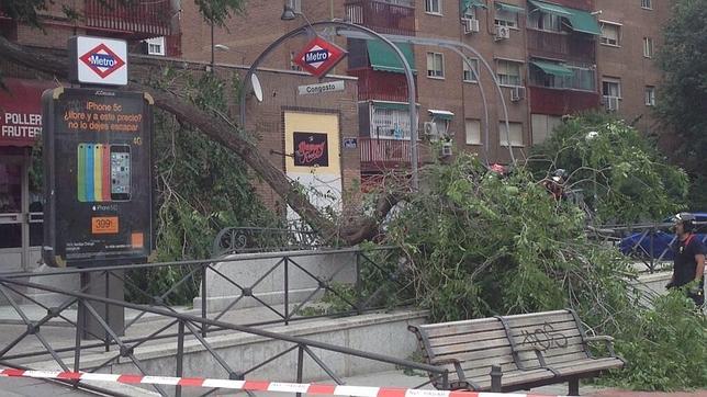 Cae un árbol sobre una boca de Metro
