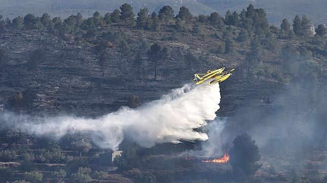 Lo que falla tras un incendio, según WWF