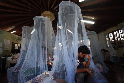 ¿El virus del dengue puede llegar a Europa gracias al Mundial de Brasil?