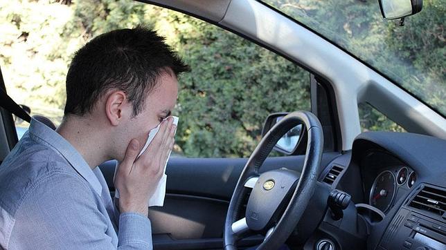Acabe con las alergias en su vehículo