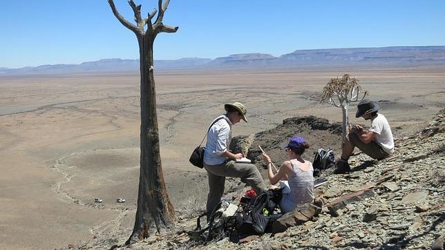 Descubren en Namibia un arrecife de 550 millones de años construido por animales