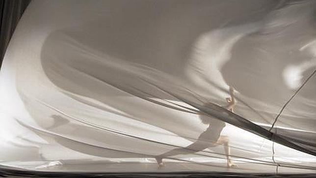 Una imagen de «Sweet Mambo»