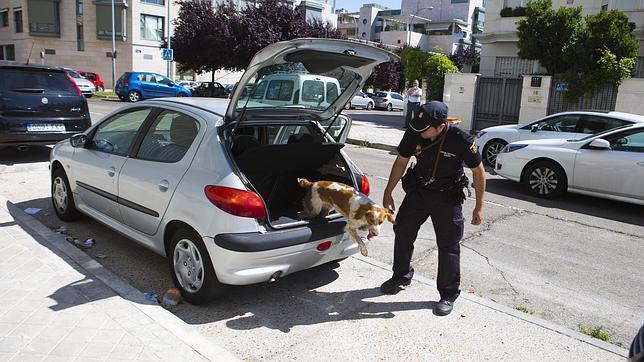Cae Luis Ye, el principal capo de la mafia china junto a Gao Ping
