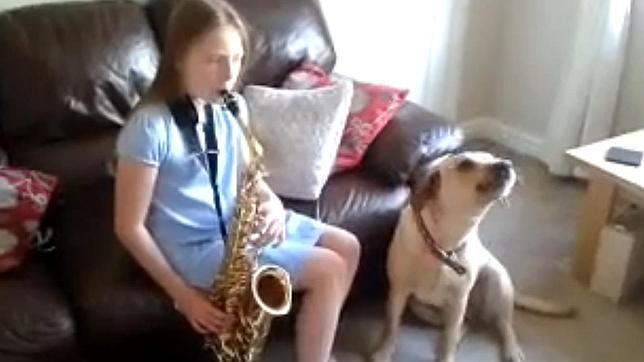 Así reacciona un perro cuando le tocan el saxofón