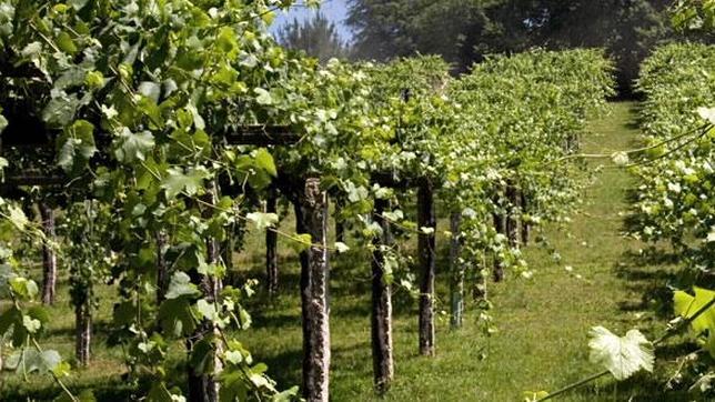 Los raíles se abren a bodegas, faros y pazos