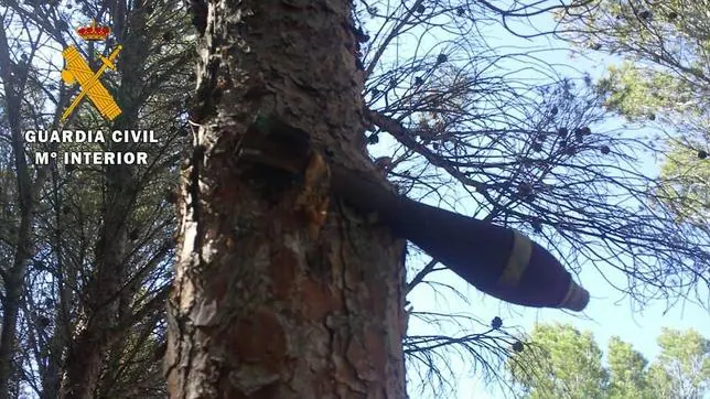 Una bomba de la Guerra Civil ha estado colgando de un pino durante 75 años