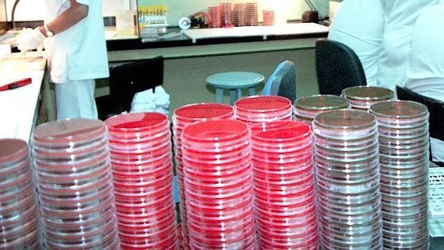 Cierran dos laboratorios de EEUU tras incidentes con ántrax y gripe aviar