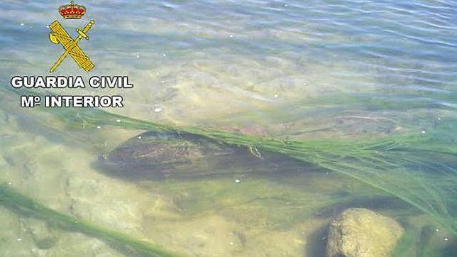 Desactivan una bomba de 50 kilos de la Guerra Civil oculta en el río Jarama