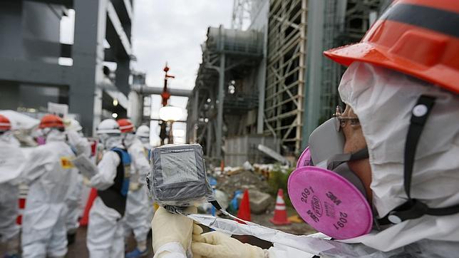 La limpieza de Fukushima ahora contamina también el arroz