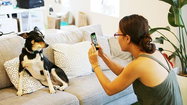 BarkCam, una «app» especial para fotografiar a las mascotas
