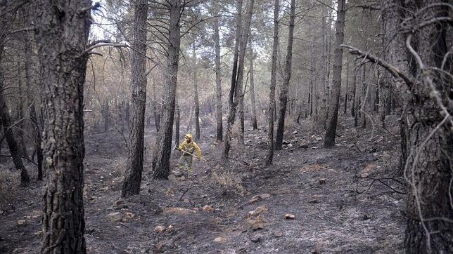 El incendio de Aleas continúa en nivel 0 y Bustares se mantiene en nivel 2