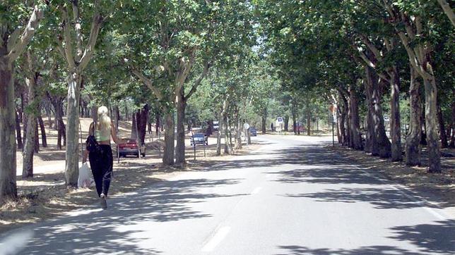 Zona del Cerro Garabitas en la Casa de Campo
