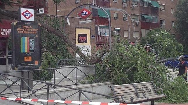 El Ayuntamiento de Madrid crea una comisión de expertos para prevenir más caídas de árboles