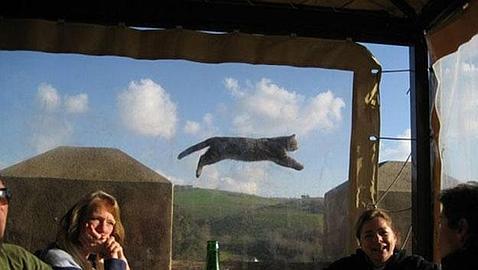 Photobomb: Cuando los animales se cuelan en tu foto