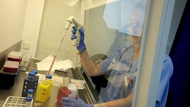 Sanidad tranquiliza a la población ante el temor al Ébola