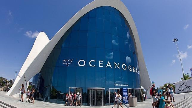 El Consell ahorrará 135 millones con la privatización del Oceanográfico
