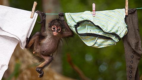 Las fotos de naturaleza más impactantes del año