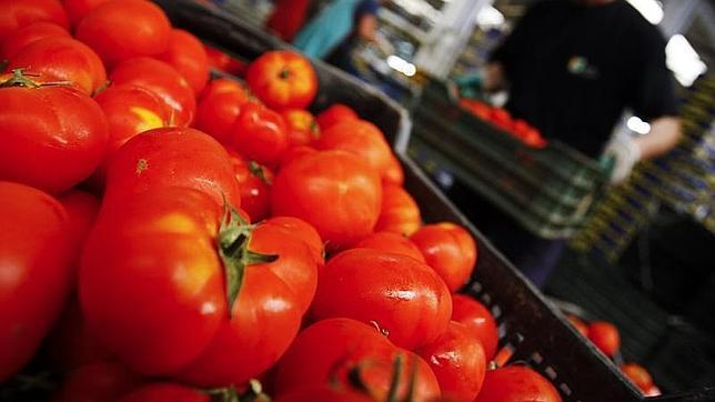 Una dieta rica en tomate para ayudar a prevenir el cáncer de próstata