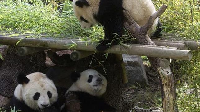 Los niños en Madrid también tienen vacaciones