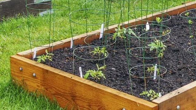 Algunos de los mejores restaurantes sostenibles de España