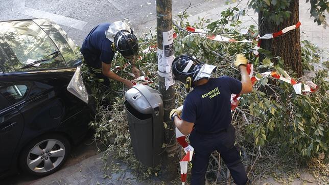 Por tercera vez en veinte días, se cae una rama del mismo árbol en Madrid