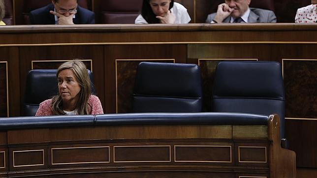 El Gobierno aprueba hoy la Estrategia de Discapacidad y la de Juventud 2020