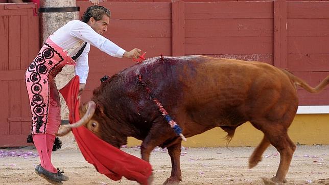 Iván Fandiño, en el nombre de la verdad