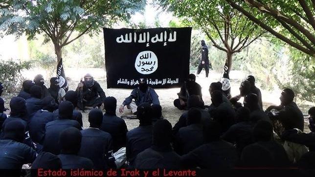 Cuando internet se convierte en un «comando» de información