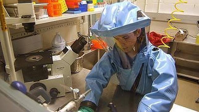 Vacunas y «suero» contra el ébola, todavía en fase experimental