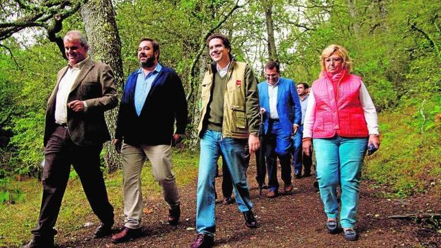 El Hayedo de Montejo pide entrar en el selecto «club» de la Unesco