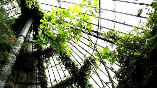 Uno de los invernaderos del Jardín Botánico