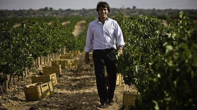 Viña Aljibes, «Quijote de Oro» al mejor vino blanco
