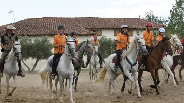 Terapia con caballos para motivar a los menores tutelados de Madrid