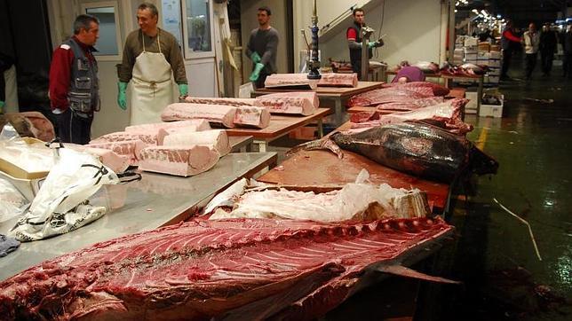 Madrid es la tercera región de España que más productos de pesca consume