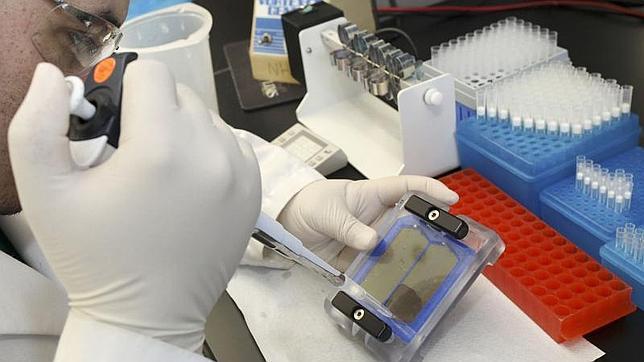 En Europa se accede más tarde a los nuevos fármacos para el cáncer que en EE.UU