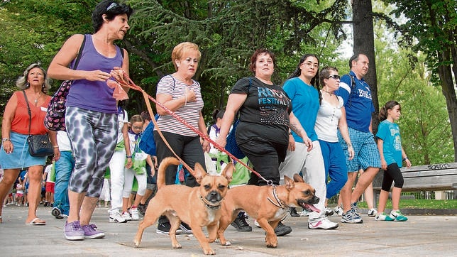 El derecho a la diversidad