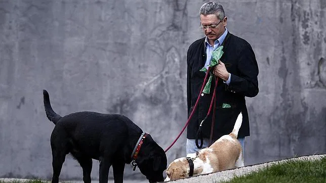 Alberto Ruiz-Gallardón paseando con sus perros