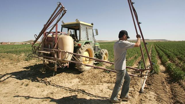 El paro en Castilla-La Mancha baja en septiembre en 10.056 personas, hasta los 224.993