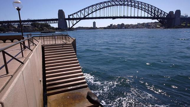 La cría de foca que se «tuesta» sobre las escalinatas de la Ópera de Sídney