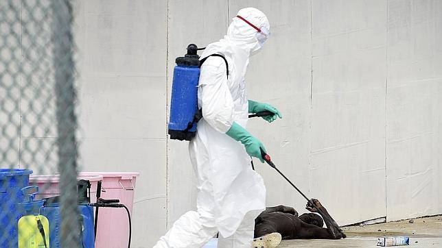 Un trabajador pasa delante de un hombre desnudo sospechoso de ser un posible infectado de ébola y que fue admitido en el hospital Island de Monrovia, Liberia