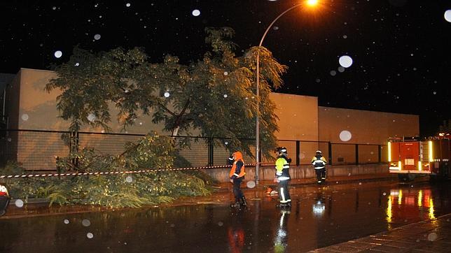 El viento y la lluvia provocan más de 90 incidencias en la provincia de Córdoba