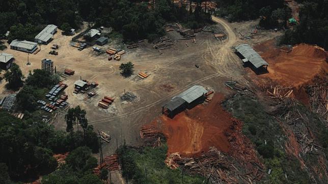 La organización ha monitoreado con GPS el viaje entre los campos ilegales de madera situados en pleno Amazonas y los aserraderos de la ciudad de Santarém (Pará; norte de Brasil)