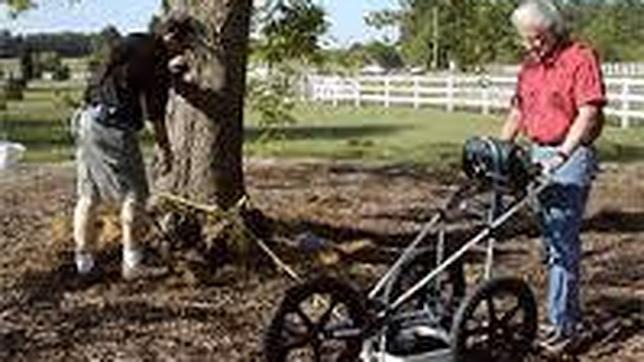 El tree-radar en plena acción