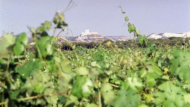 La nueva sección servirá de punto de encuentro entre ambos campos