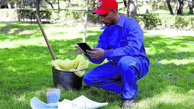 Peinan El Retiro en busca del hongo que tira los árboles